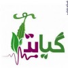تولید وتکثیر نشا گیاهان دارویی