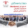 کارشناس سئو