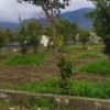 زمین ۱۳۵۰متری/ مسکونی/سنددار