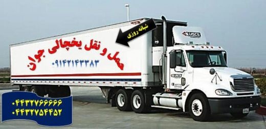 شرکت حمل و نقل و باربری یخچالداران تهران